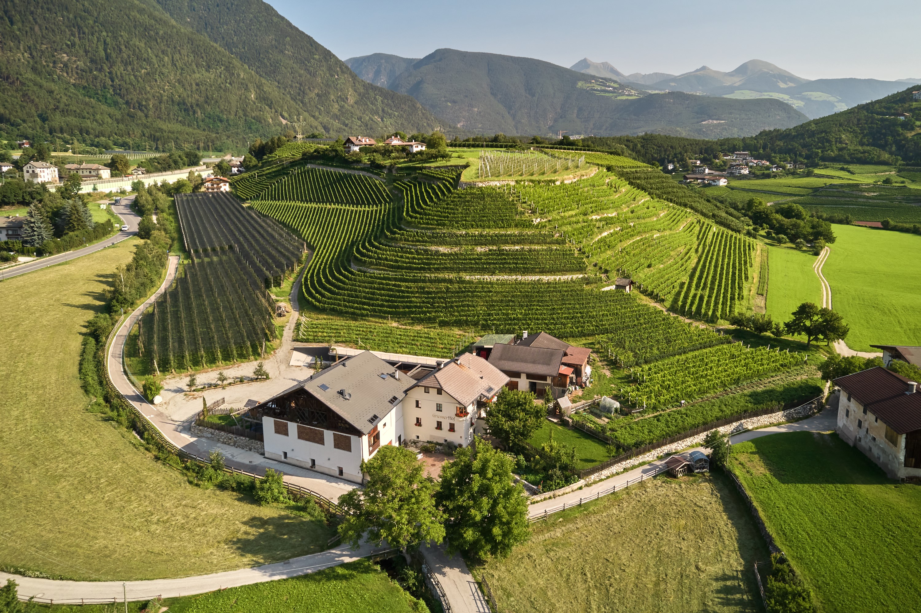 Weingut Griesserhof