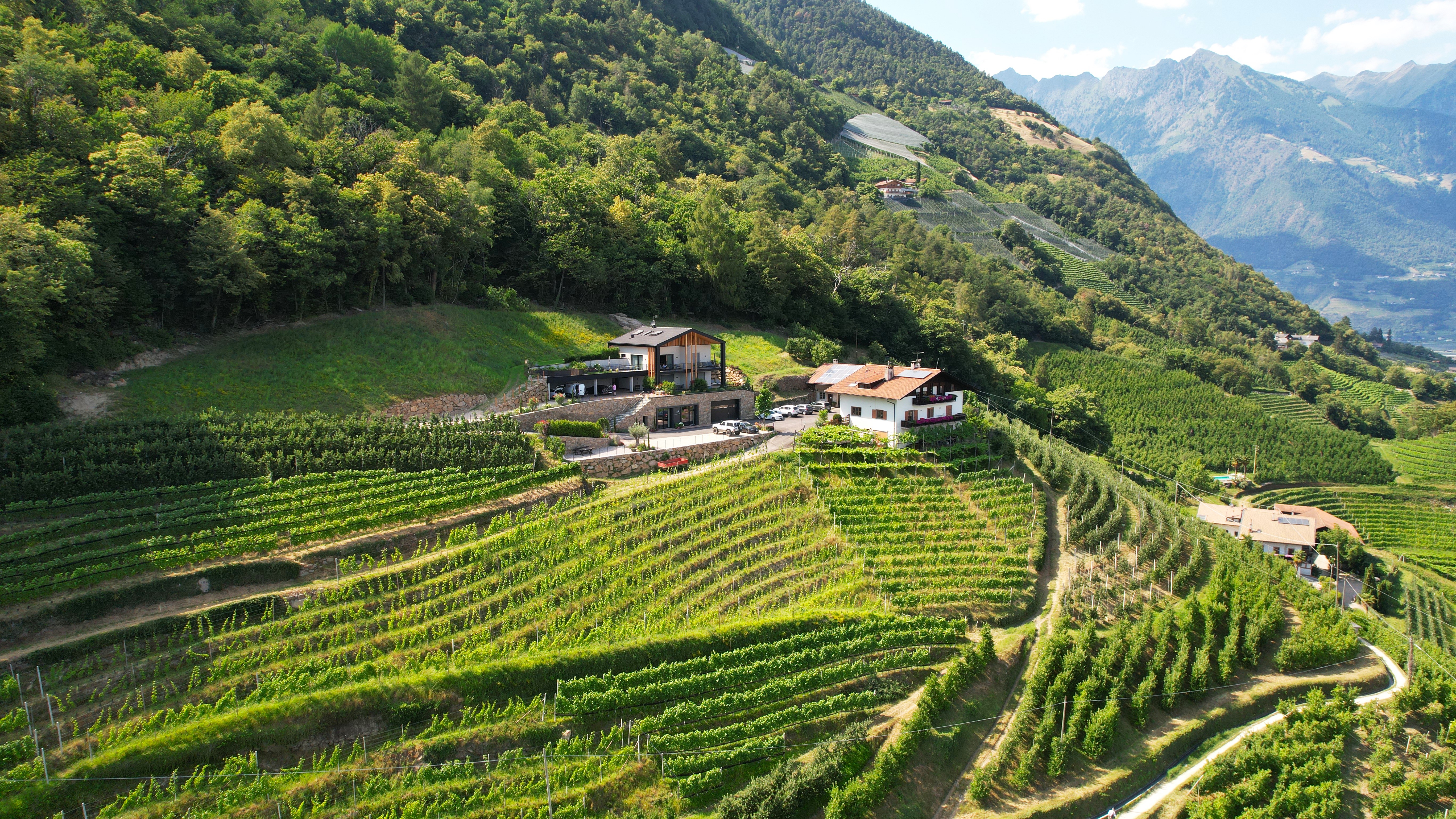 Weingut Hillepranter