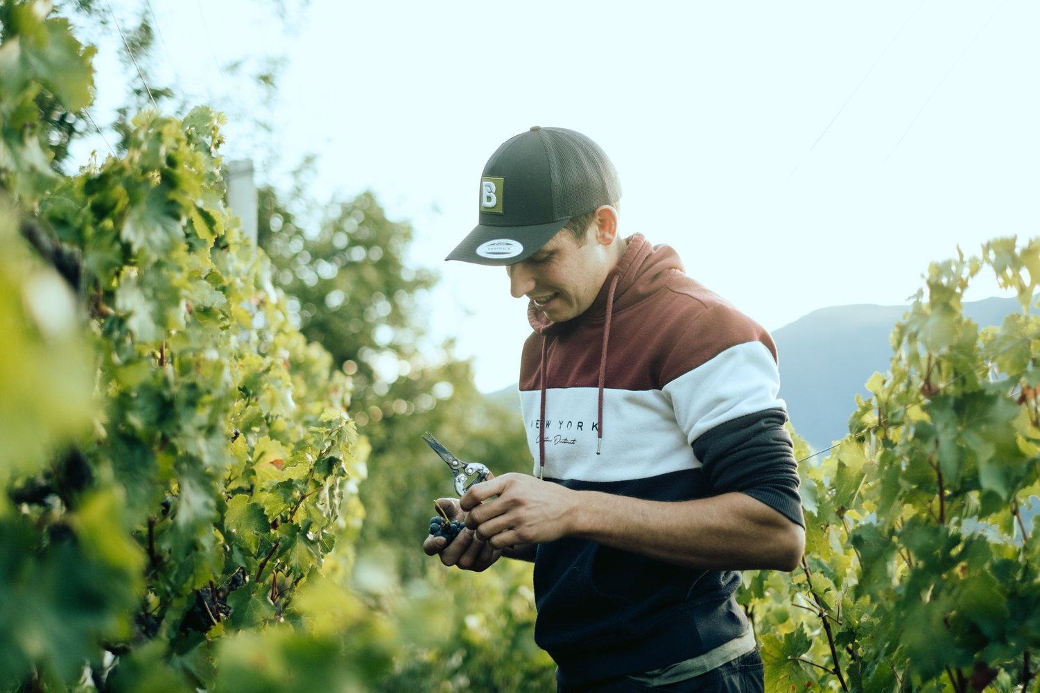 Weingut Daniel Sigmund
