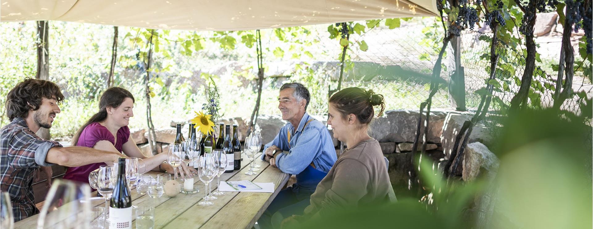 Thomas Niedermayr Hof Gandberg