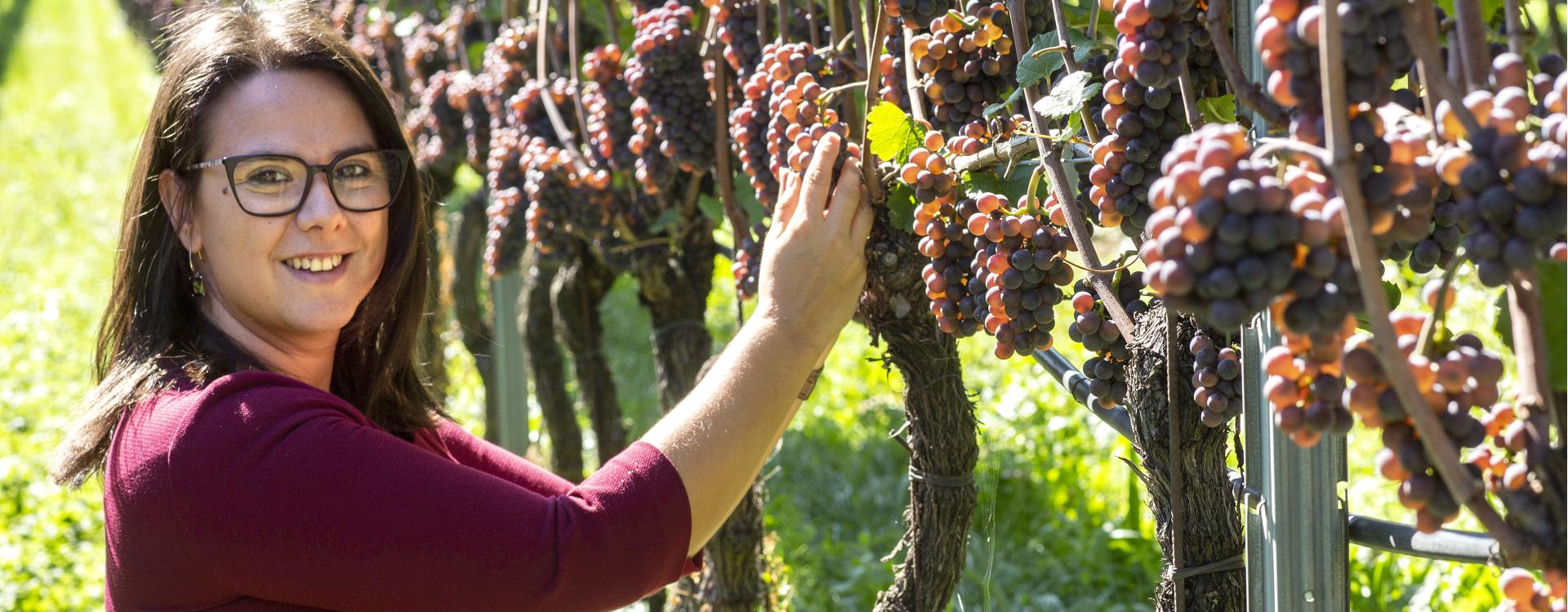 Ritterhof Weingut-Tenuta