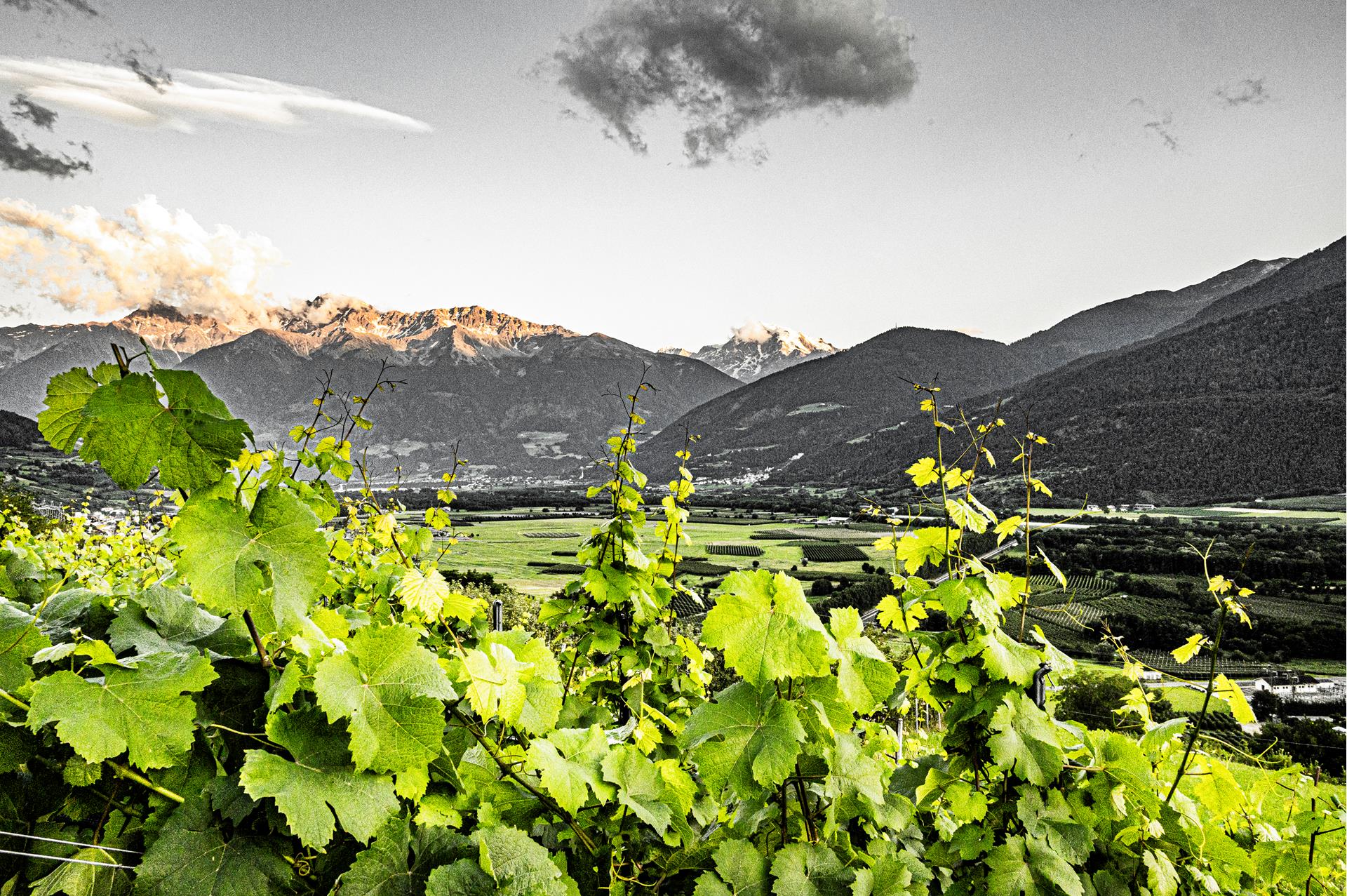 Altissimus Hedwigsberg