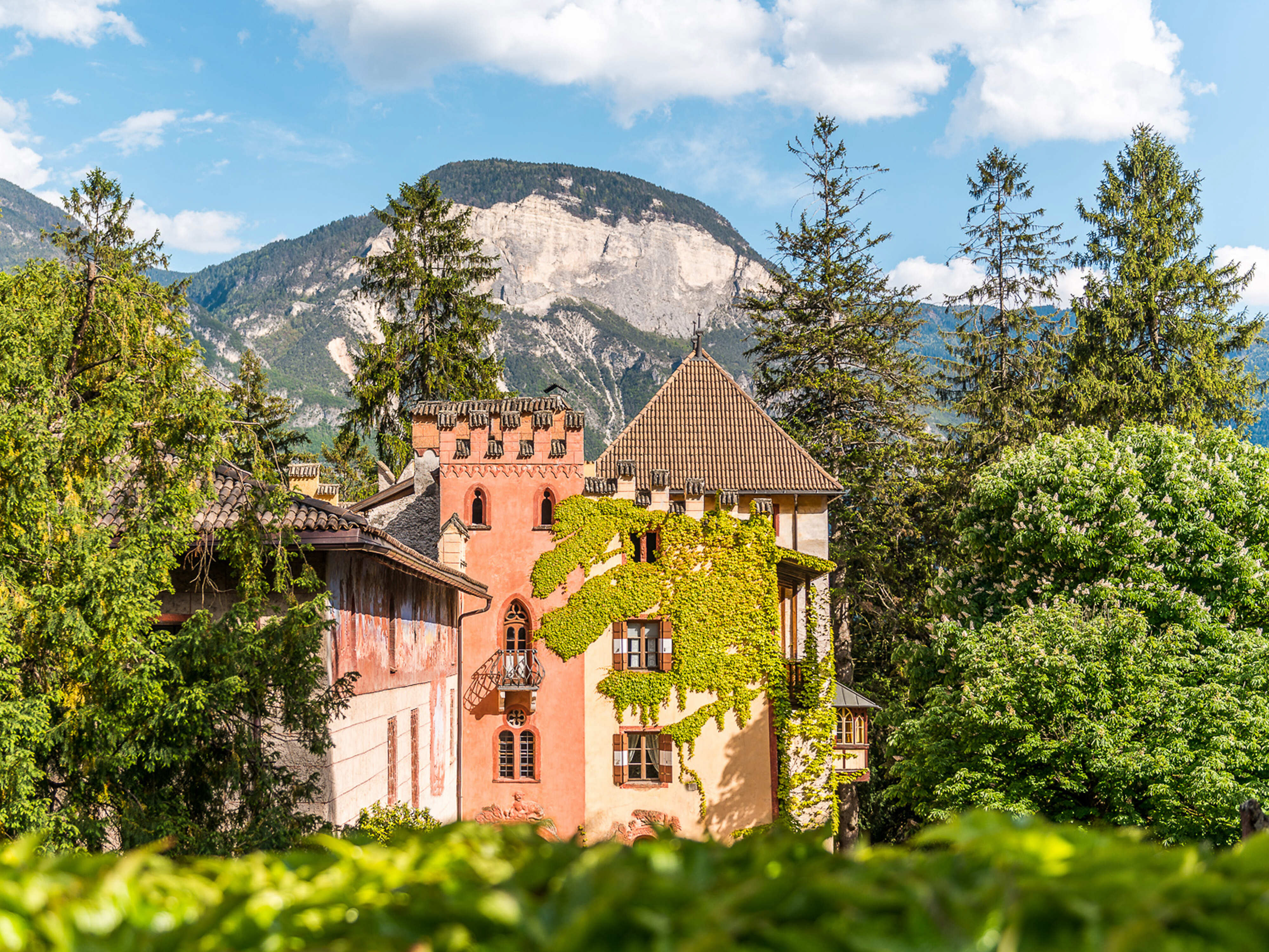 Weingut Tiefenbrunner | Schlosskellerei Turmhof