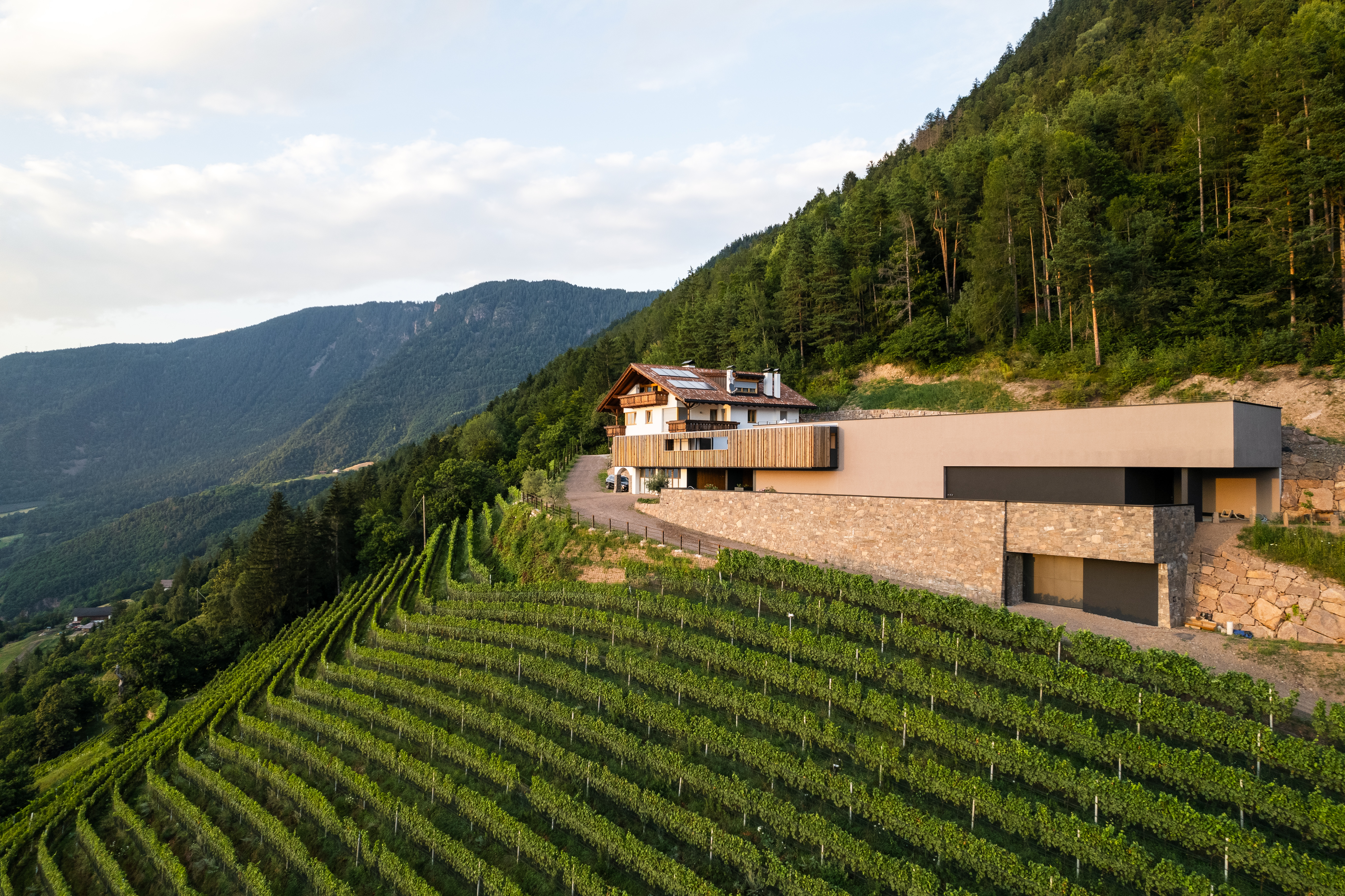 Weingut Hochegg